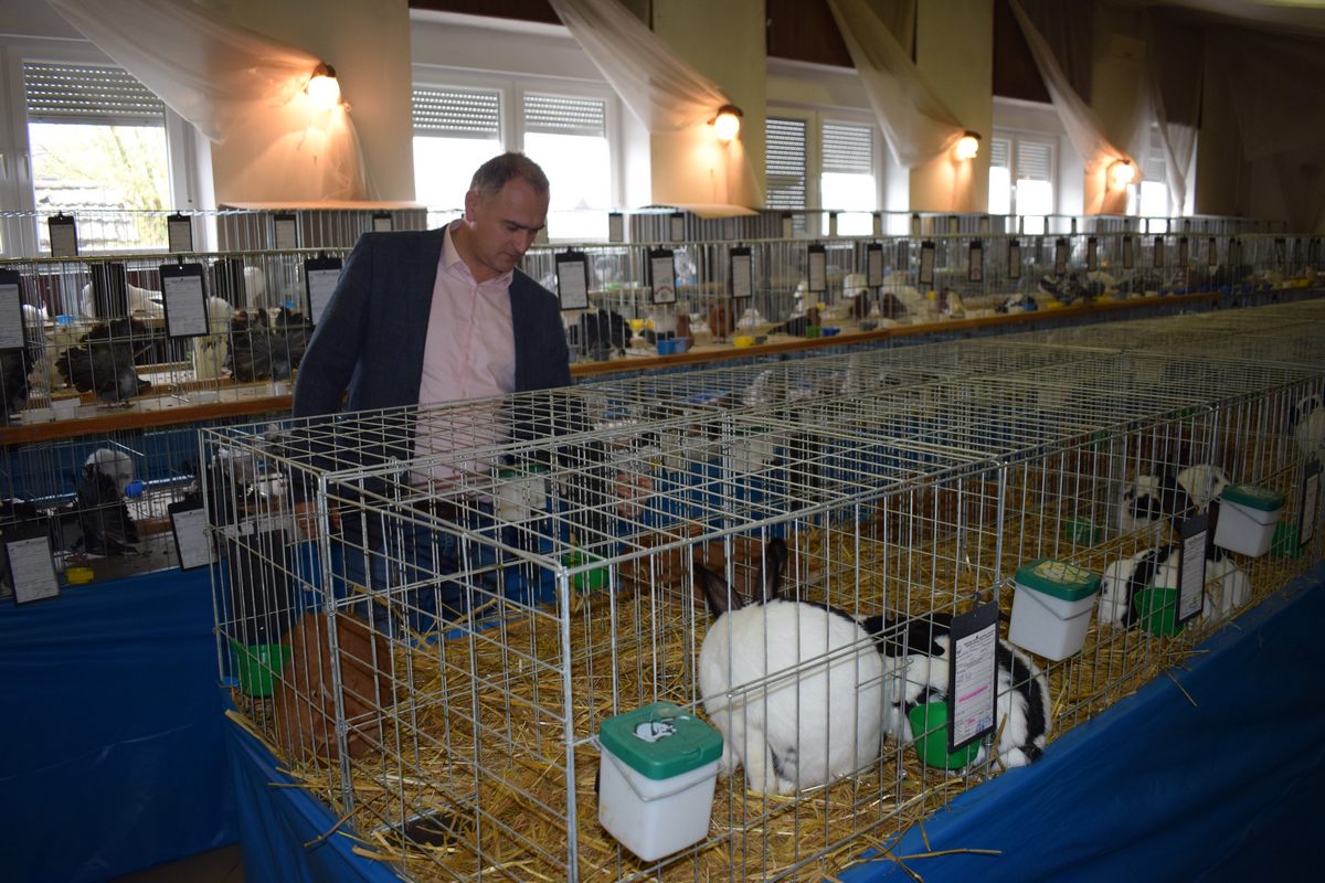 Zamjenik župana Mihael Jurić je u petak, 28. listopada 2022. godine, u prostoru Društvenog doma u kutinskoj Radićevoj ulici otvorio 32. međužupanijsku izložbu malih životinja 