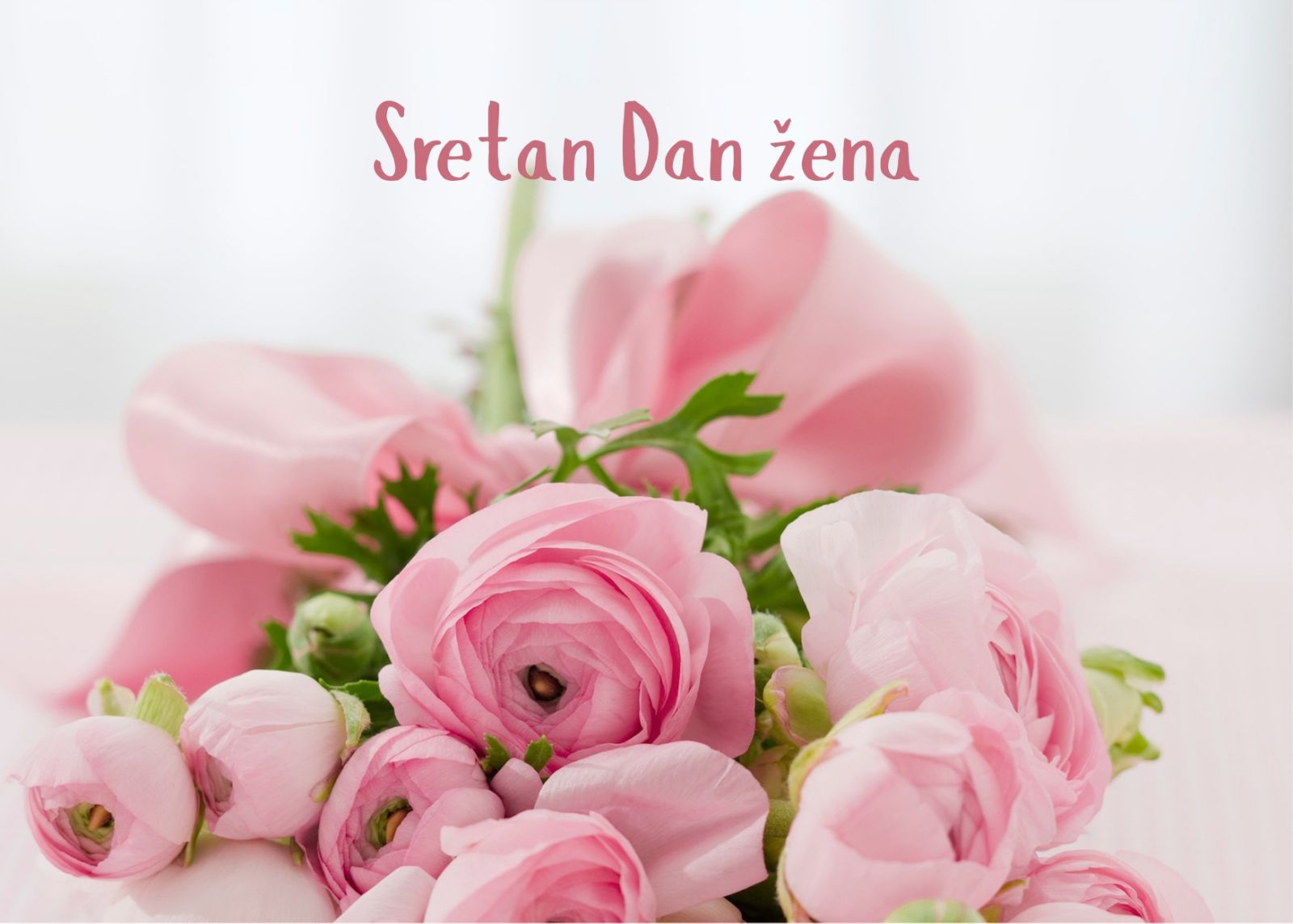 U povodu Međunarodnog dana žena, župan Ivan Celjak uputio je emotivnu čestitku svim ženama ističući njihovu neizmjernu ulogu u obitelji i društvu.