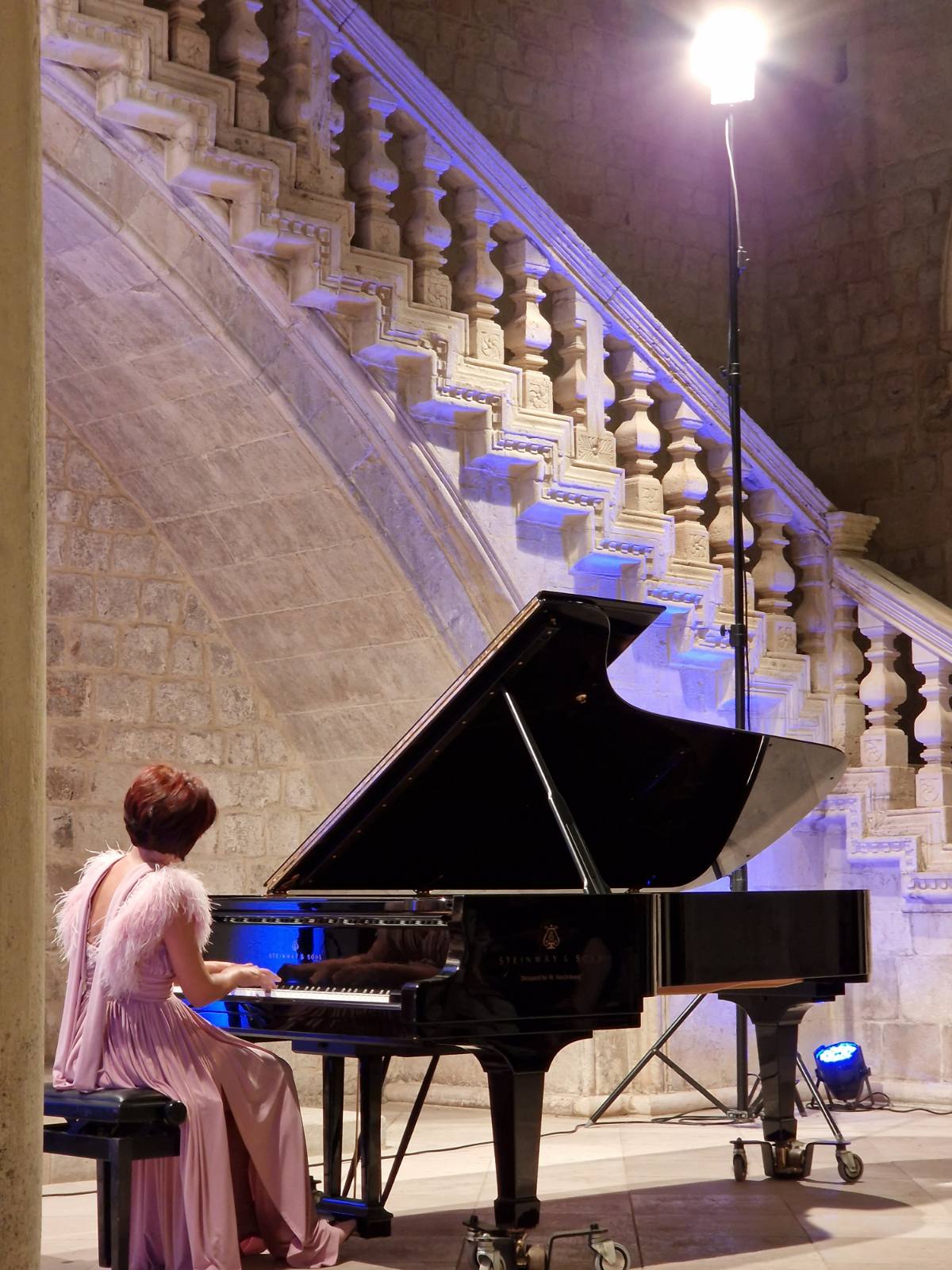 U utorak, 20. rujna 2022. godine, u Kneževom Dvoru u Dubrovniku, održan je donacijski koncert u organizaciji Dubrovačkog simfonijskog orkestra i pijanistice Naire Asatryan. Na koncertu su izvedene skladbe Schumanna, Schuberta i Chopina, a sav prihod od ulaznica je namijenjen Osnovnoj školi Glina.