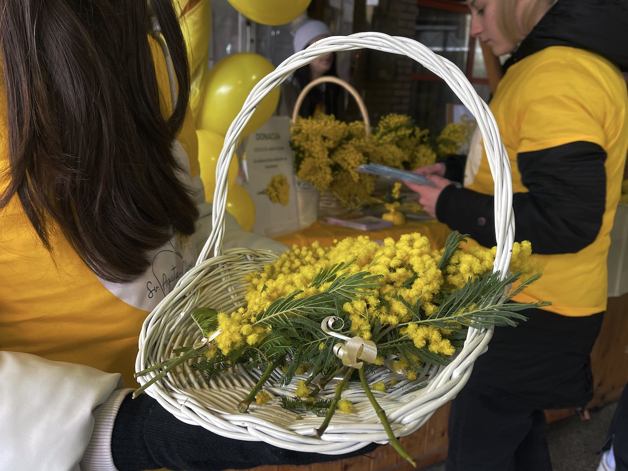 Nacionalni dan borbe protiv raka vrata maternice ili Dan mimoza obilježen je danas i u Sisačko-moslavačkoj županiji, u Sisku i Glini.