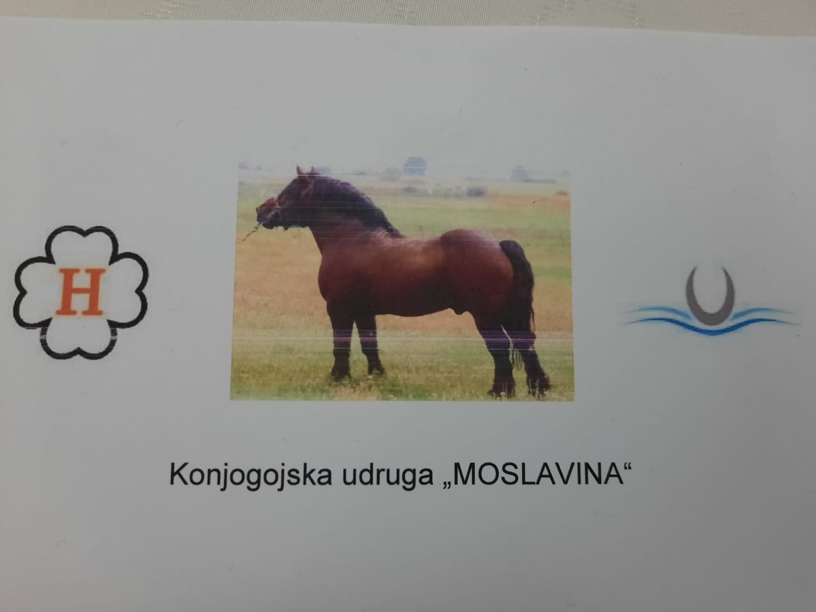 Predsjednik Županijske skupštine Mato Fofić je u subotu, 25. veljače 2023. godine, u domu Kulture u Popovači nazočio 29. redovnoj i izbornoj Skupštini Konjogojske udruge “Moslavina”.
